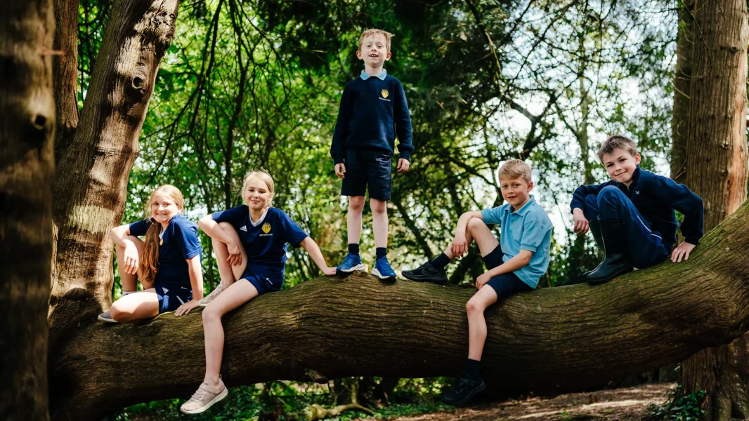 Prep school children in tree