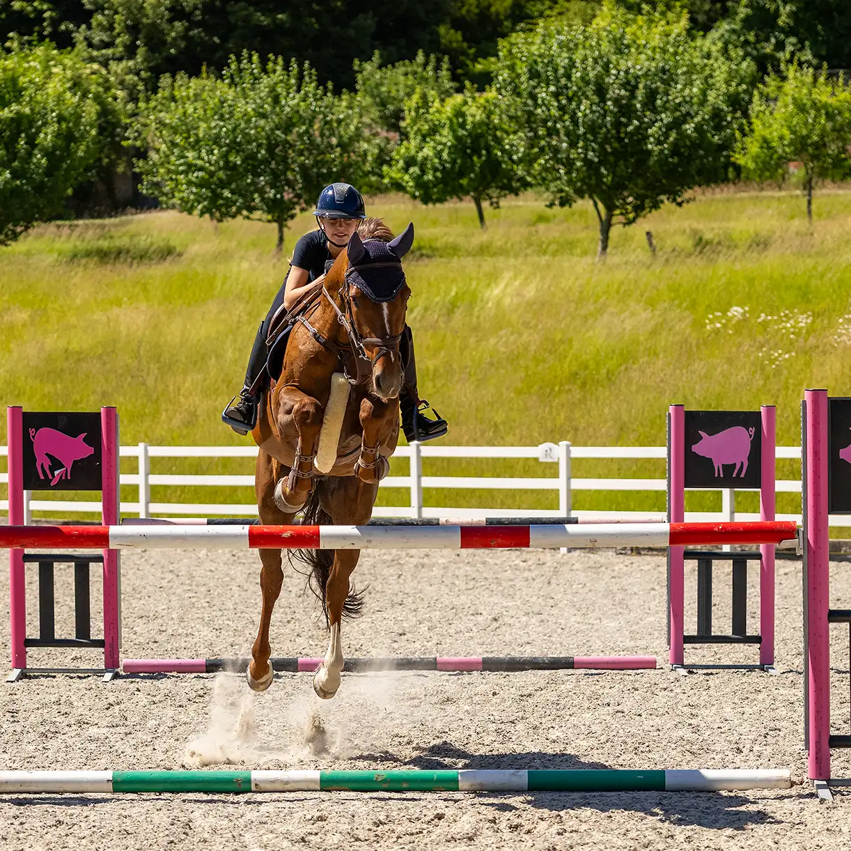 Equestrian - Charlie Riding