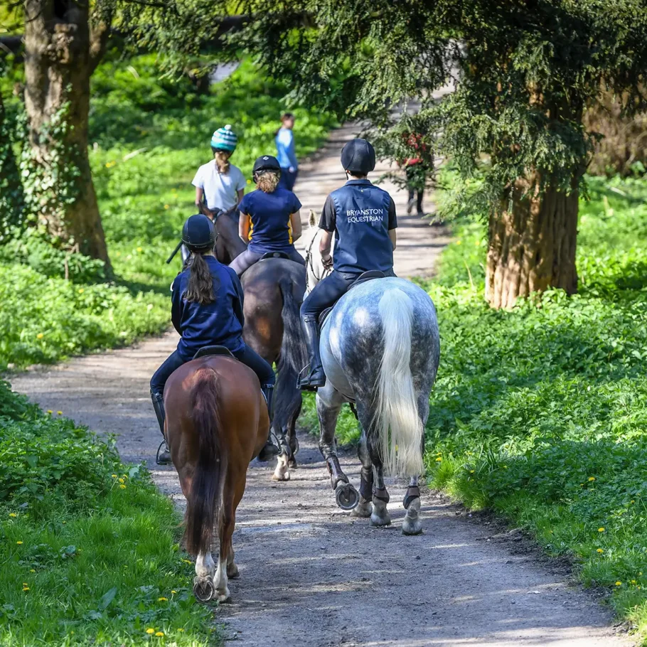 Equestrian - riding hack